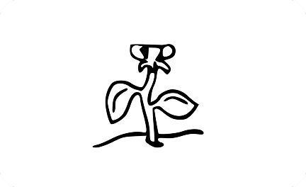 clean-process-step-img